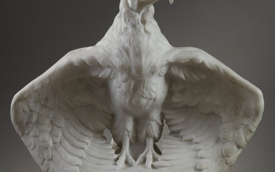 Condor By Antonio & Marcel Amorgasti
